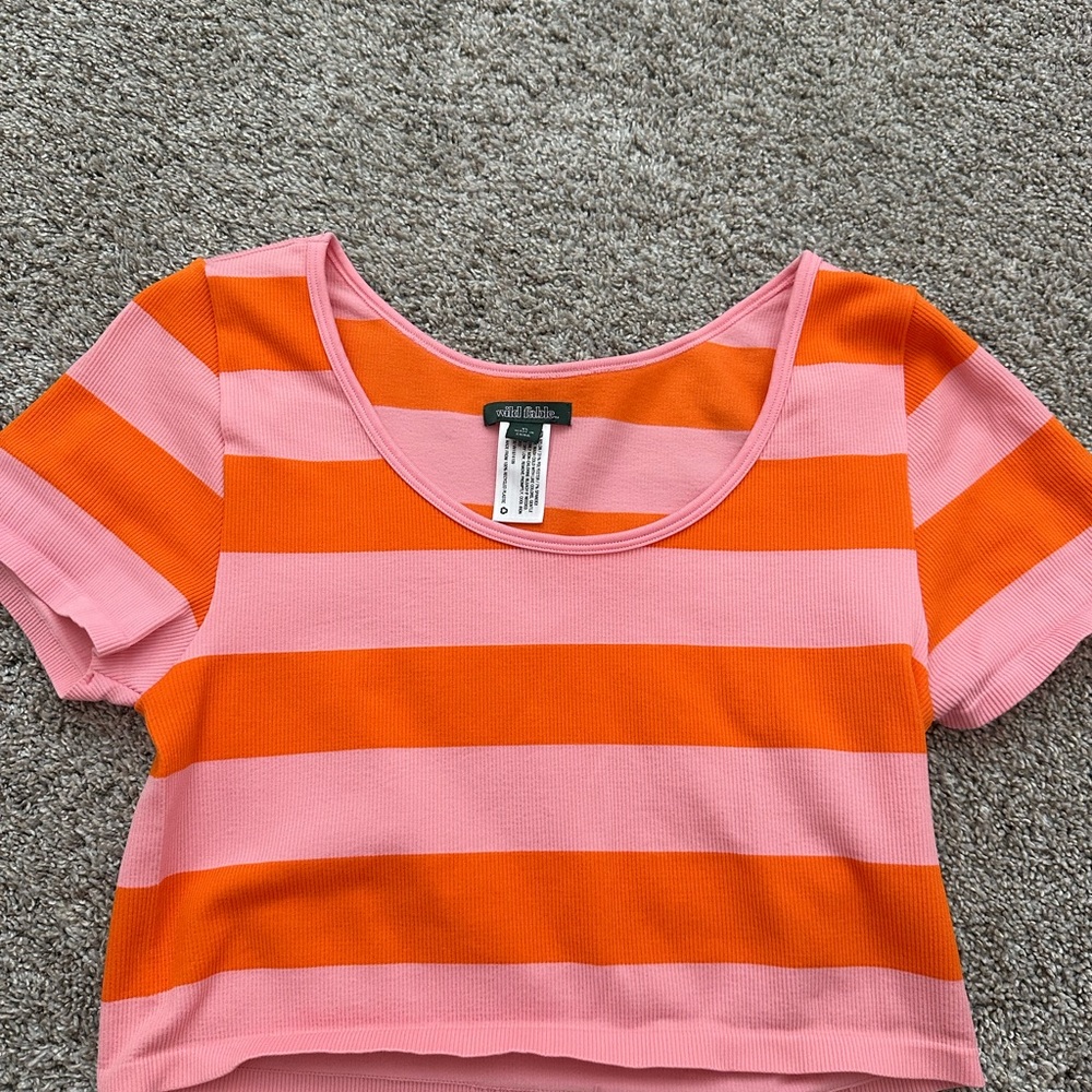 Wild Fable Pink and Orange Striped Crop Top
